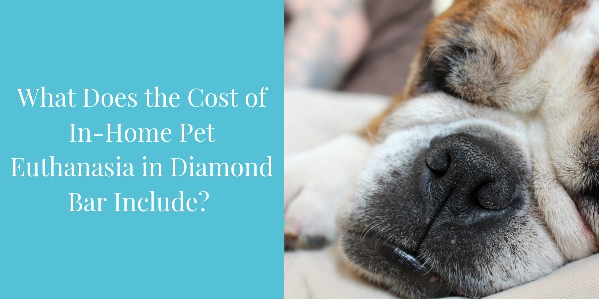 What Does the Cost of In-Home Pet Euthanasia in Diamond Bar Include? - Blog